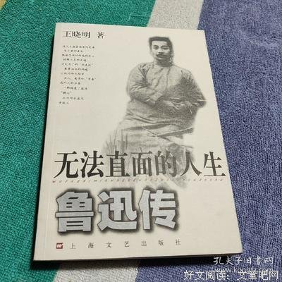 《无法直面的人生（修订本）》读后感锦集