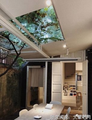 《白鸟之歌》经典读后感有感