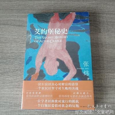 《艾约堡秘史》读后感1000字