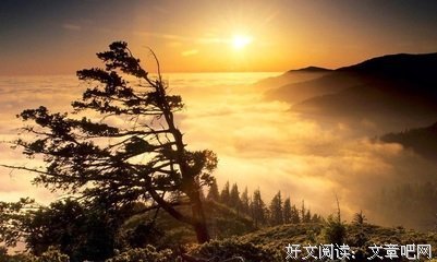 《嫉妒：一桩不可告人的心事》读后感锦集