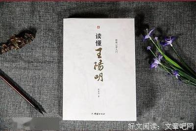 心学功夫读后感精选