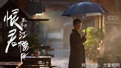 《恨君不似江楼月》影评精选