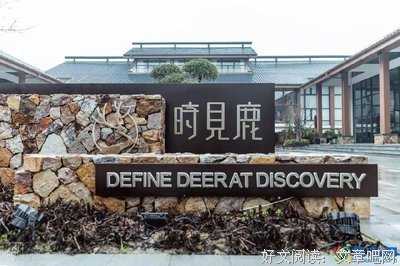 《林中小屋》经典观后感有感