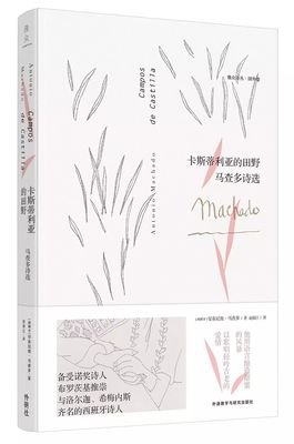 《卡斯蒂利亚的田野：马查多诗选》读后感1000字
