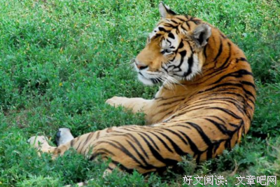 不善言辞的名人名言