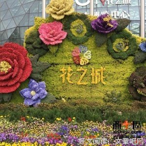 花图鉴的读后感大全