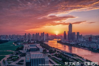几度夕阳红读后感1000字