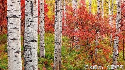 深爱经典的句子