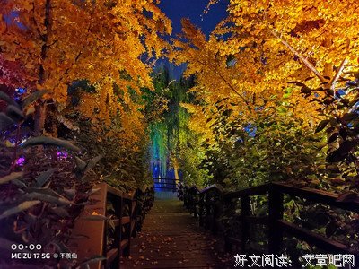 关于越今朝名言大全