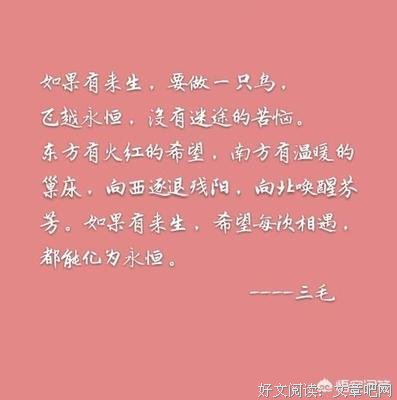 最经典的《翻译官》佳句摘抄大全