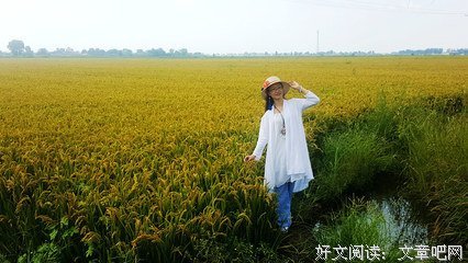最经典的《花乱开》经典语句
