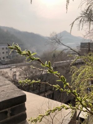 《爱我长城》观后感摘抄
