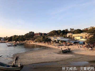 菜句子大全