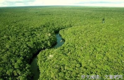 蒹葭苍苍优美的句子