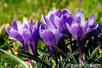 起风了优美的句子