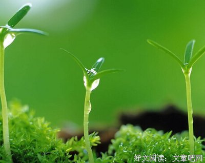 《人生如梦》的句子