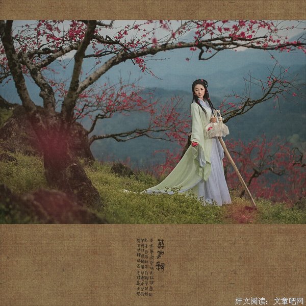 最全的《葬花吟》好段摘抄大全