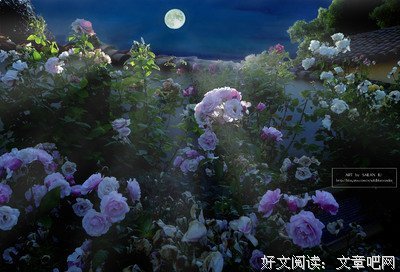 最新的《蔷薇园》经典的句子
