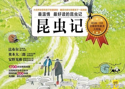 最新的《虫子旁》好段摘抄