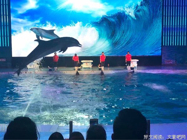 《三个世界》好看吗？经典影评锦集