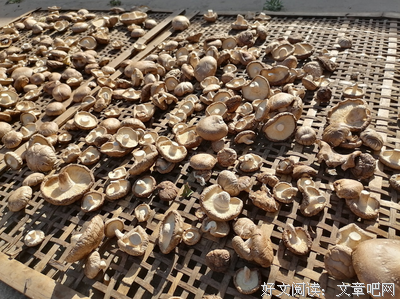 《思考致富》读后感摘抄