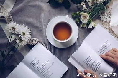 心智成长读后感100字