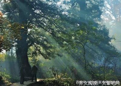世界极客任正非读后感1000字