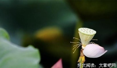 一去不返的语句摘抄_关于一去不返的语句