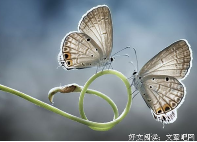 《鏡子練習》的读后感大全