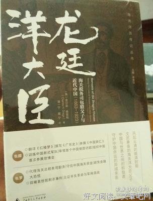 《龙廷洋大臣》读后感精选