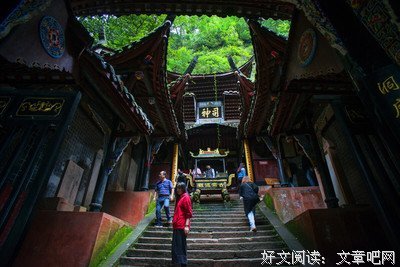 《天师执位》影评摘抄