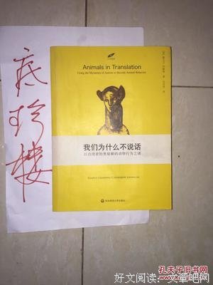 我们为什么不说话读后感1000字
