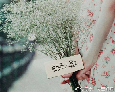 关于木槿昔年的句子