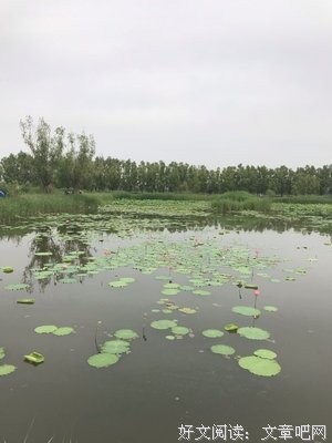 太阳的会心对着子裔经典名句