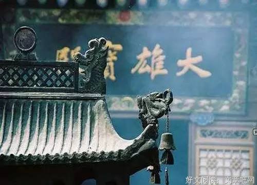 老板死前竟变成动物