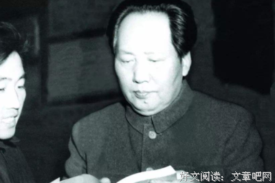 星星与猫读后感100字
