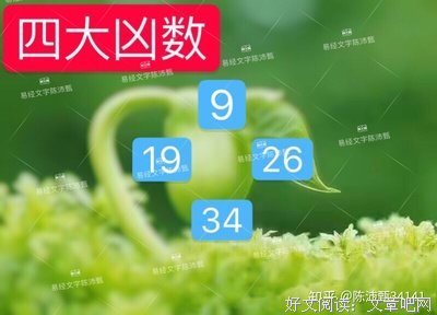 《汉字磁场姓名学》经典读后感有感