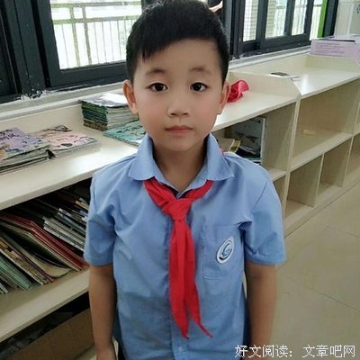 《星星与猫》读后感锦集