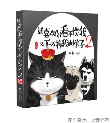 《就喜欢你看不惯我又干不掉我的样子3》读后感摘抄