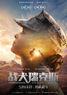 《飞行战犬》经典读后感有感