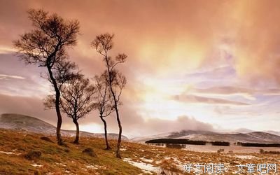 人间草木优美的句子