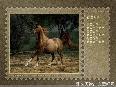 安妮宝贝经典名句