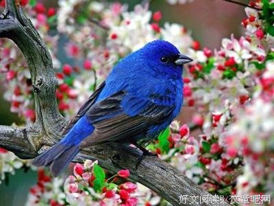 《轮回是为了等待》的句子