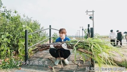 逗才水她每句段经典的句子
