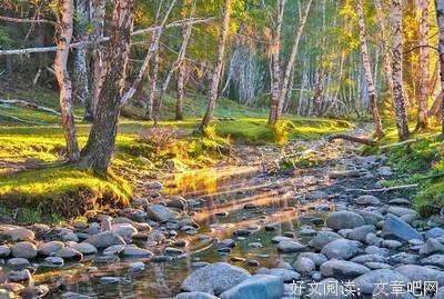 有关郭宗忠名言大全