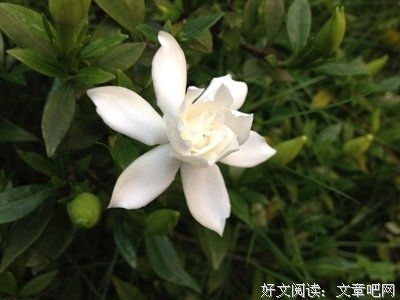 郭思琪名言