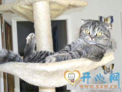 最经典的《论快乐》经典的句子