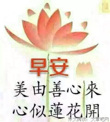 最经典的《该忘了》好段摘抄