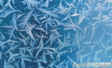 最全的《边缘结》名句欣赏