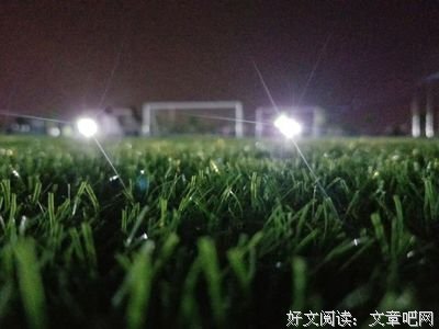 《无限的网：草间弥生自传》经典读后感有感